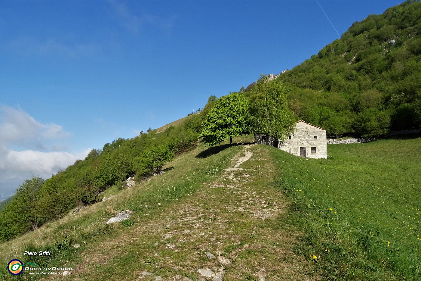 14 Alla cascina.JPG -                                